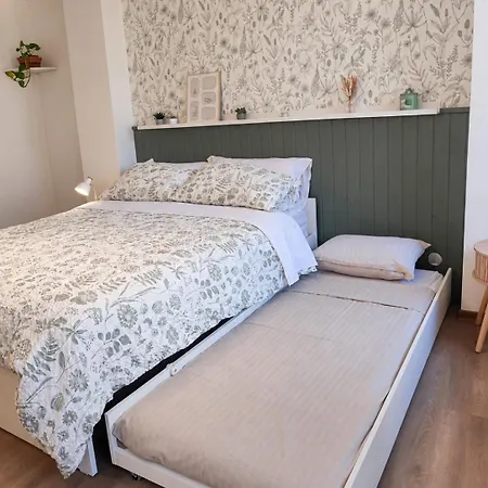 Сasa de vacaciones Sara's Loft And Rose In The Historic Center